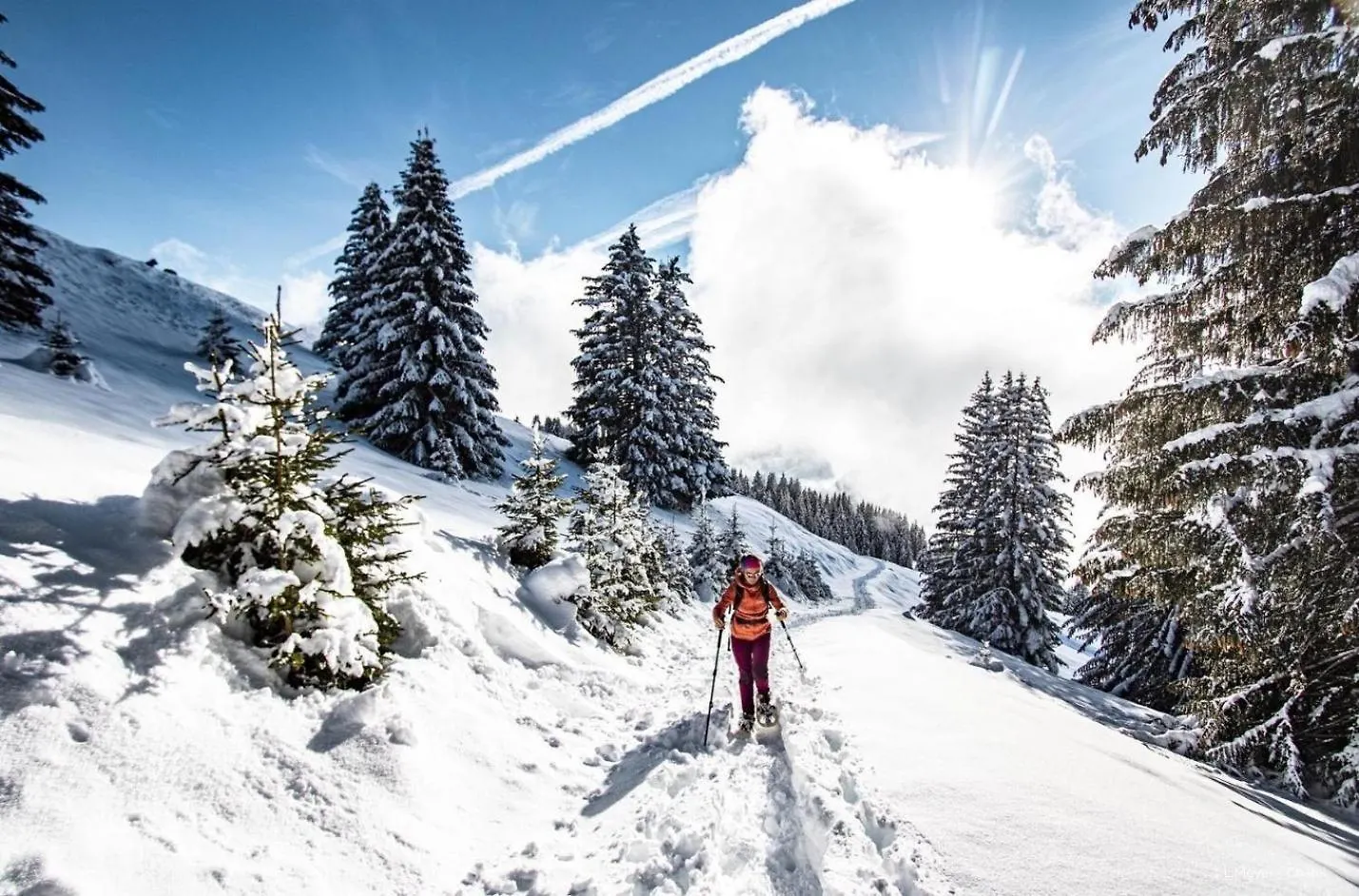Hameau Des 4 Saisons Hse89 View & Sun 3 Pers Apartment Chatel 0*,
